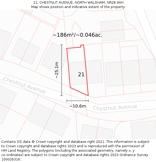21, CHESTNUT AVENUE, NORTH WALSHAM, NR28 9XH: Plot and title map
