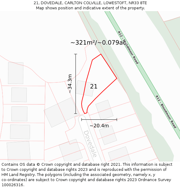 21, DOVEDALE, CARLTON COLVILLE, LOWESTOFT, NR33 8TE: Plot and title map