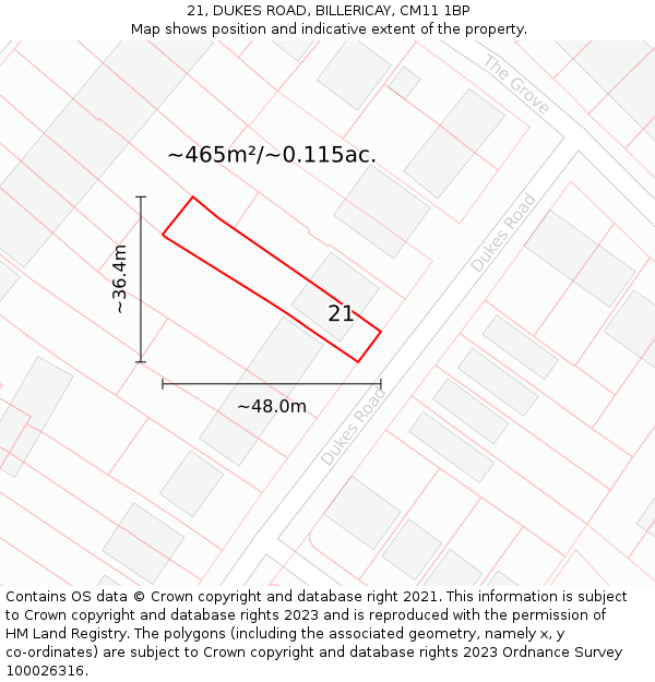 21, DUKES ROAD, BILLERICAY, CM11 1BP: Plot and title map