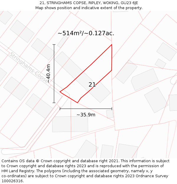21, STRINGHAMS COPSE, RIPLEY, WOKING, GU23 6JE: Plot and title map