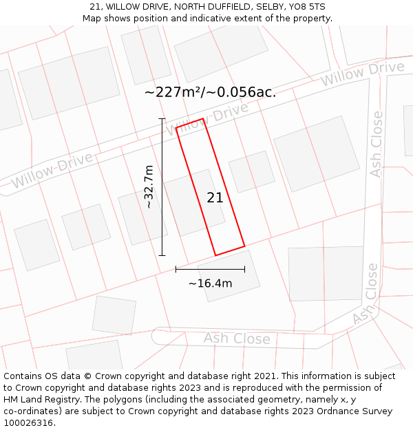 21, WILLOW DRIVE, NORTH DUFFIELD, SELBY, YO8 5TS: Plot and title map