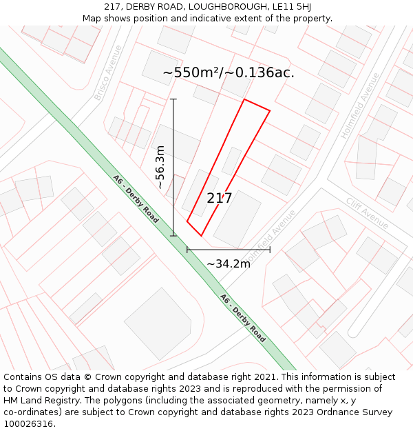 217, DERBY ROAD, LOUGHBOROUGH, LE11 5HJ: Plot and title map