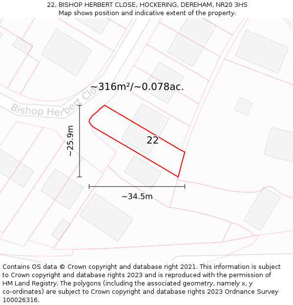 22, BISHOP HERBERT CLOSE, HOCKERING, DEREHAM, NR20 3HS: Plot and title map