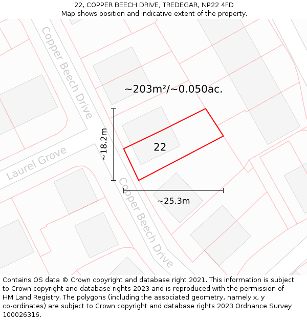 22, COPPER BEECH DRIVE, TREDEGAR, NP22 4FD: Plot and title map