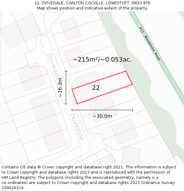 22, DOVEDALE, CARLTON COLVILLE, LOWESTOFT, NR33 8TE: Plot and title map
