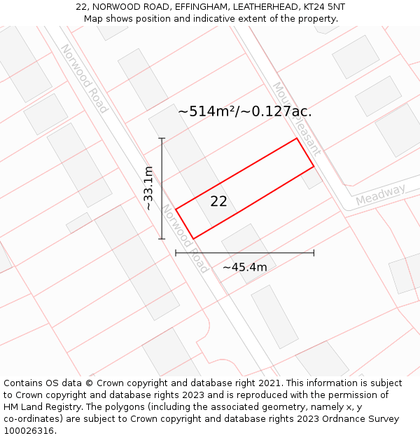 22, NORWOOD ROAD, EFFINGHAM, LEATHERHEAD, KT24 5NT: Plot and title map
