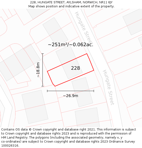 228, HUNGATE STREET, AYLSHAM, NORWICH, NR11 6JY: Plot and title map