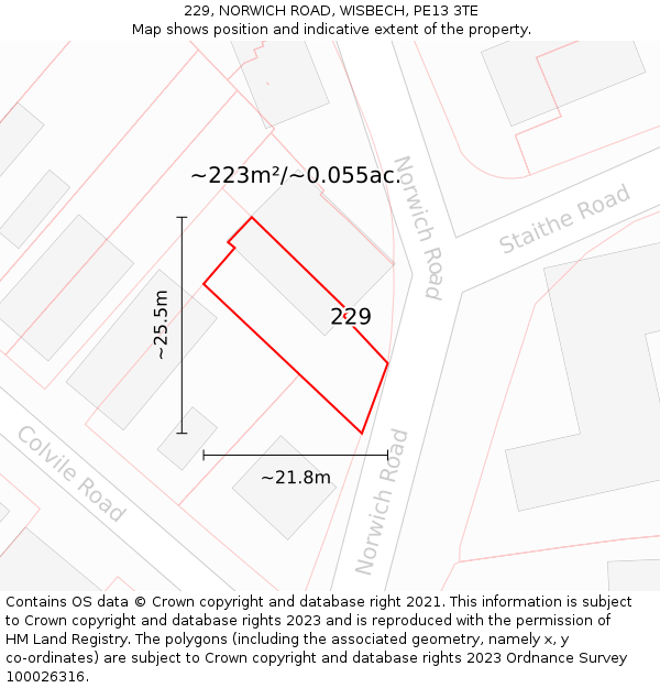 229, NORWICH ROAD, WISBECH, PE13 3TE: Plot and title map