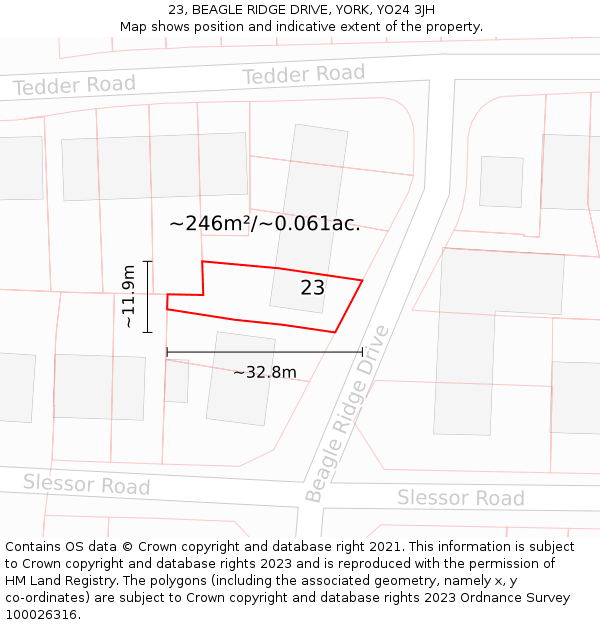 23, BEAGLE RIDGE DRIVE, YORK, YO24 3JH: Plot and title map