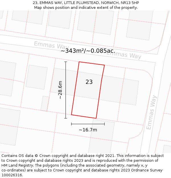 23, EMMAS WAY, LITTLE PLUMSTEAD, NORWICH, NR13 5HP: Plot and title map