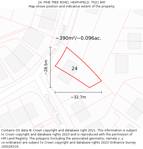 24, PINE TREE ROAD, HEATHFIELD, TN21 8AY: Plot and title map