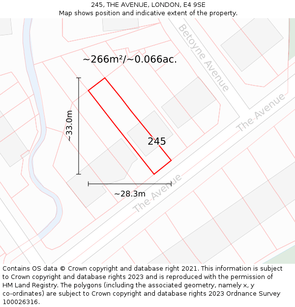 245, THE AVENUE, LONDON, E4 9SE: Plot and title map