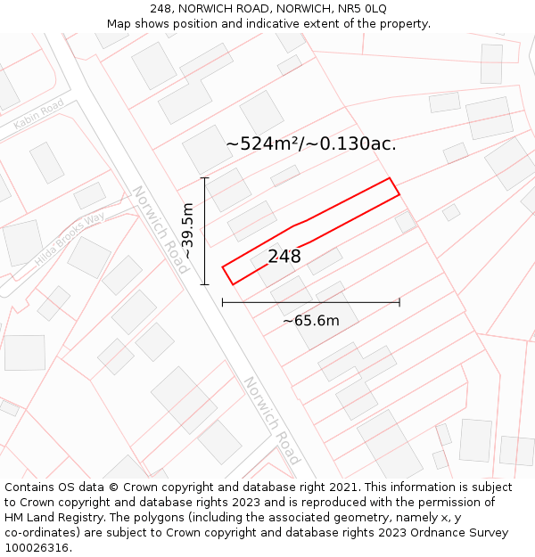 248, NORWICH ROAD, NORWICH, NR5 0LQ: Plot and title map