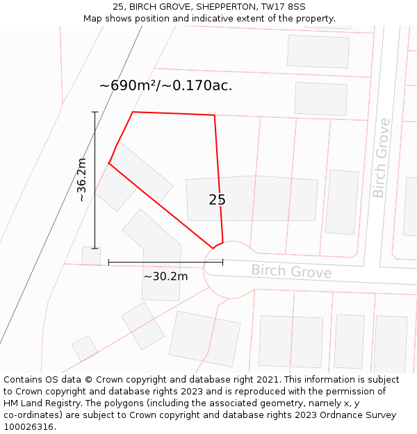 25, BIRCH GROVE, SHEPPERTON, TW17 8SS: Plot and title map