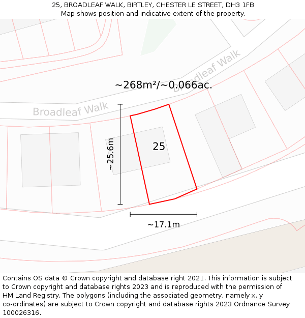25, BROADLEAF WALK, BIRTLEY, CHESTER LE STREET, DH3 1FB: Plot and title map