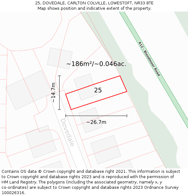 25, DOVEDALE, CARLTON COLVILLE, LOWESTOFT, NR33 8TE: Plot and title map
