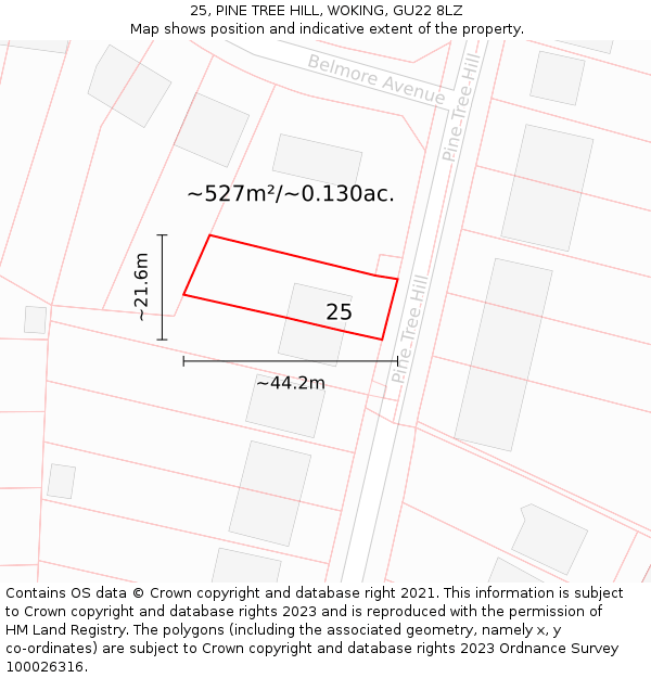25, PINE TREE HILL, WOKING, GU22 8LZ: Plot and title map