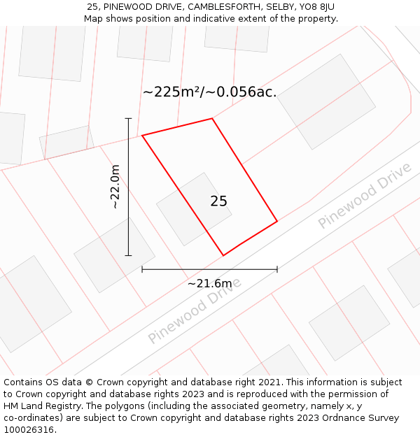25, PINEWOOD DRIVE, CAMBLESFORTH, SELBY, YO8 8JU: Plot and title map