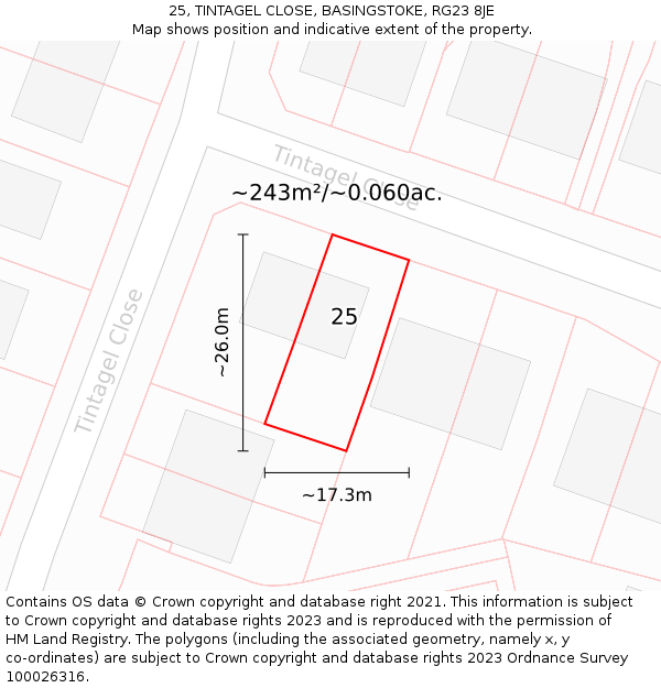 25, TINTAGEL CLOSE, BASINGSTOKE, RG23 8JE: Plot and title map
