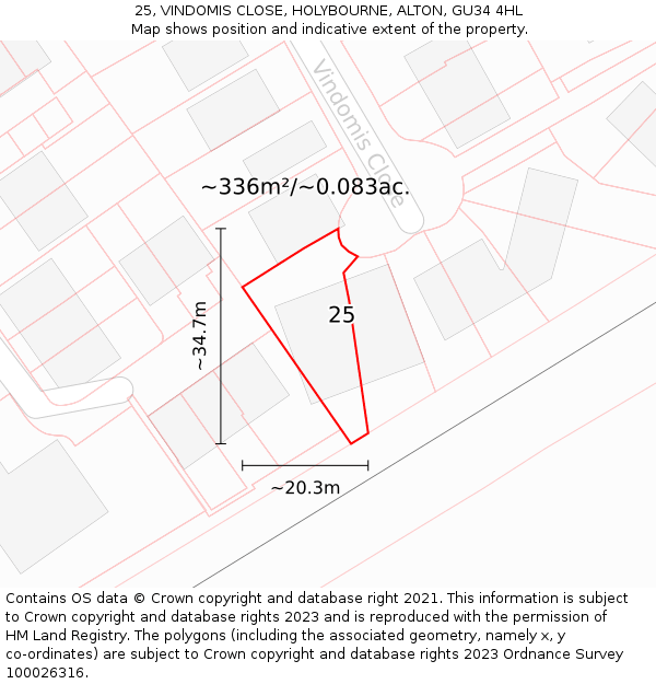25, VINDOMIS CLOSE, HOLYBOURNE, ALTON, GU34 4HL: Plot and title map