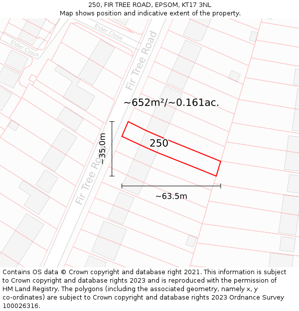 250, FIR TREE ROAD, EPSOM, KT17 3NL: Plot and title map