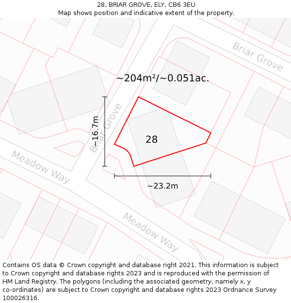 28, BRIAR GROVE, ELY, CB6 3EU: Plot and title map