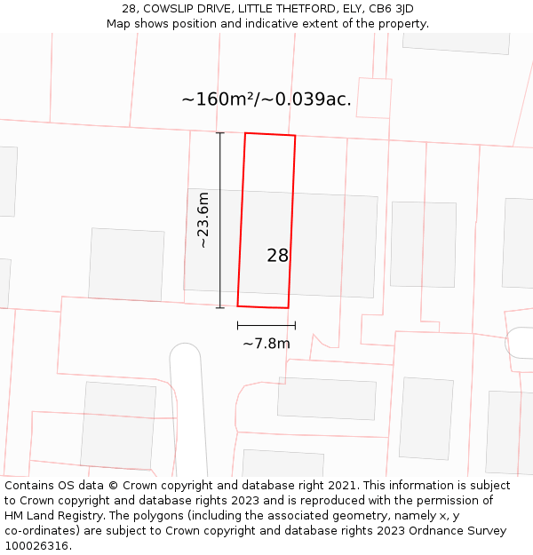 28, COWSLIP DRIVE, LITTLE THETFORD, ELY, CB6 3JD: Plot and title map