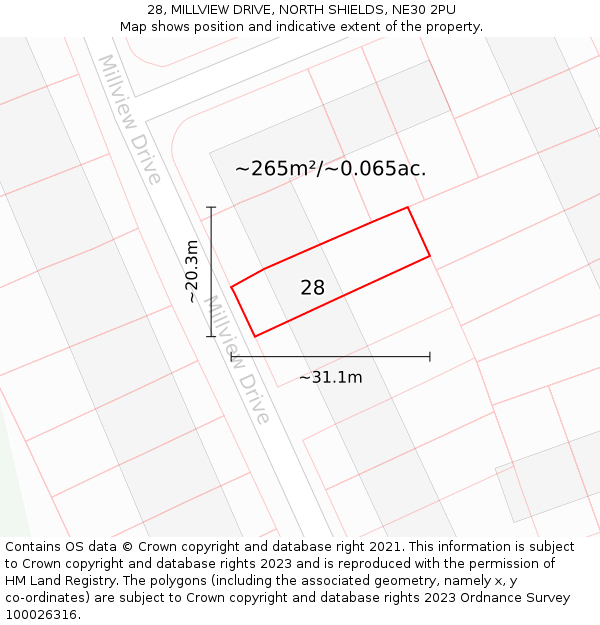 28, MILLVIEW DRIVE, NORTH SHIELDS, NE30 2PU: Plot and title map