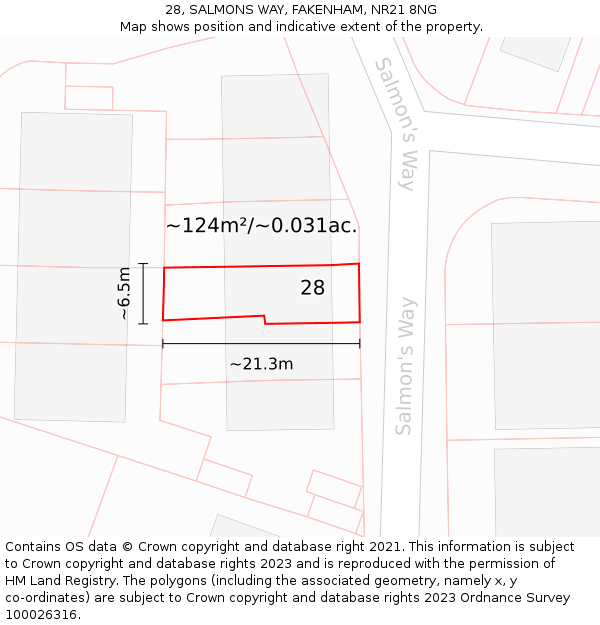 28, SALMONS WAY, FAKENHAM, NR21 8NG: Plot and title map