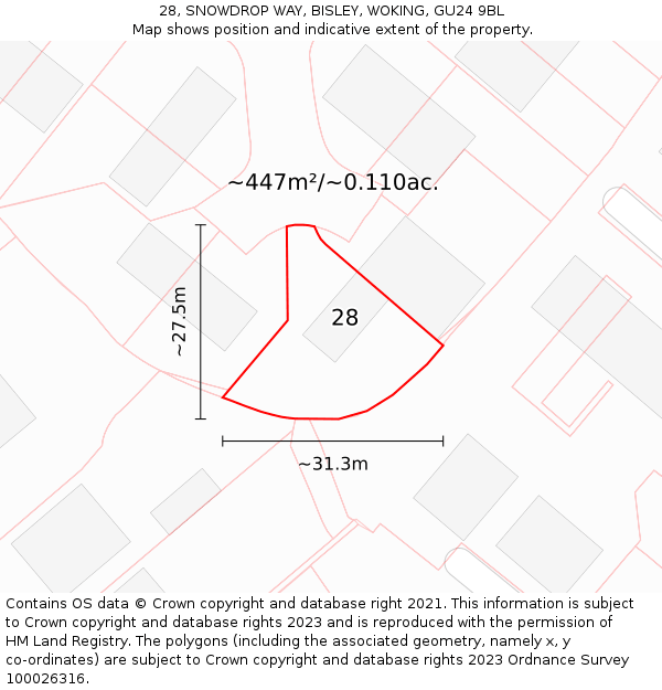 28, SNOWDROP WAY, BISLEY, WOKING, GU24 9BL: Plot and title map