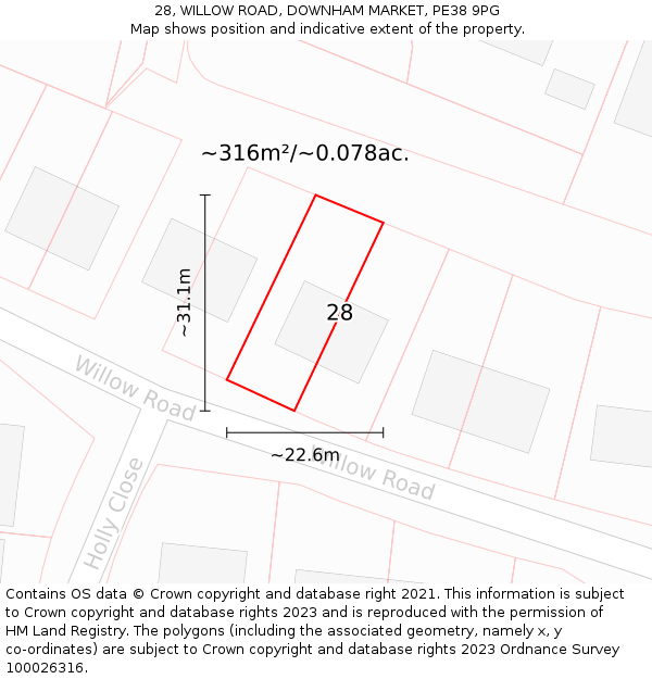 28, WILLOW ROAD, DOWNHAM MARKET, PE38 9PG: Plot and title map