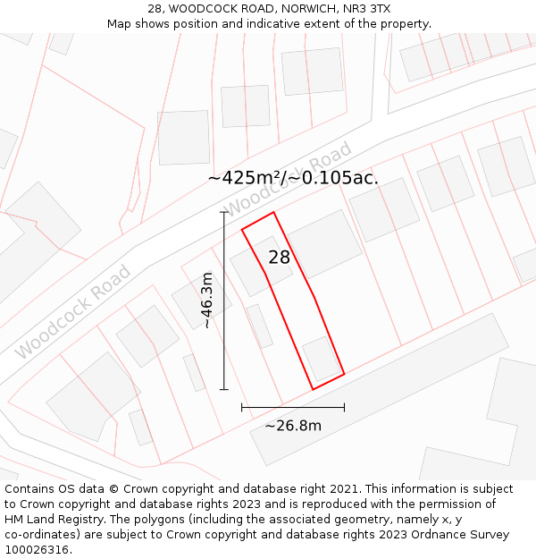 28, WOODCOCK ROAD, NORWICH, NR3 3TX: Plot and title map