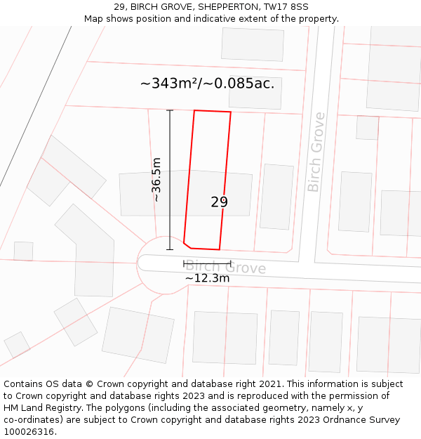 29, BIRCH GROVE, SHEPPERTON, TW17 8SS: Plot and title map