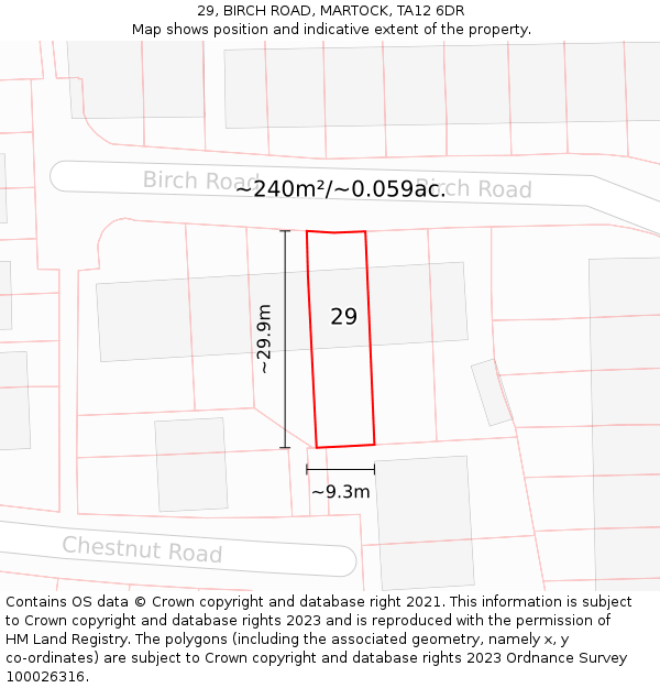29, BIRCH ROAD, MARTOCK, TA12 6DR: Plot and title map