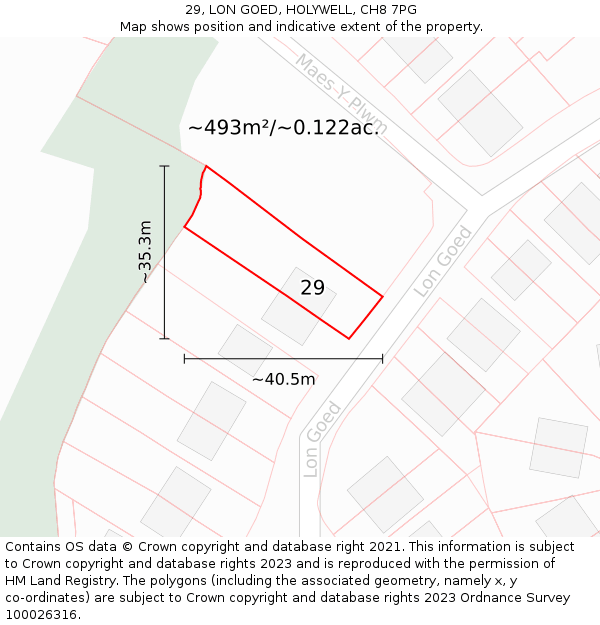 29, LON GOED, HOLYWELL, CH8 7PG: Plot and title map