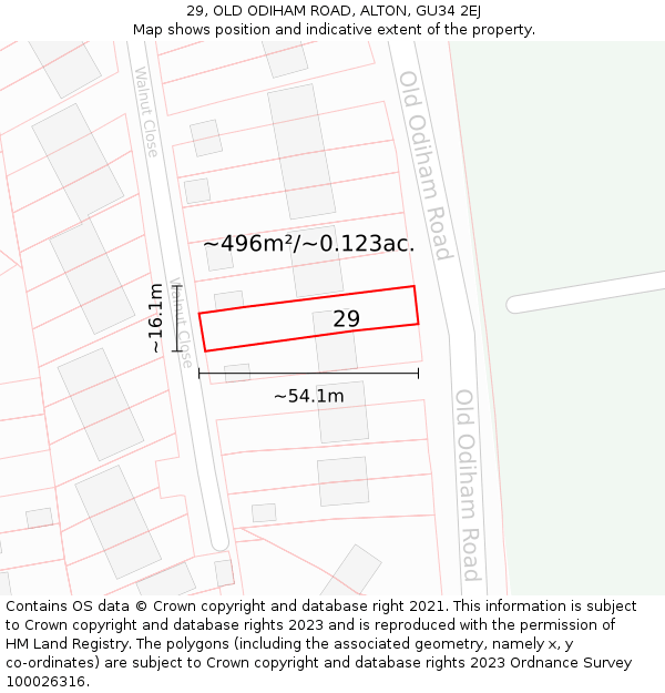 29, OLD ODIHAM ROAD, ALTON, GU34 2EJ: Plot and title map