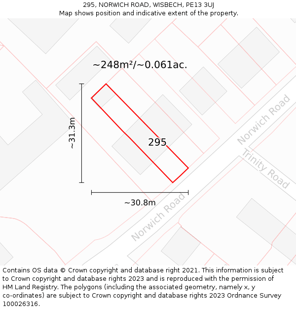 295, NORWICH ROAD, WISBECH, PE13 3UJ: Plot and title map