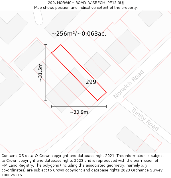 299, NORWICH ROAD, WISBECH, PE13 3UJ: Plot and title map