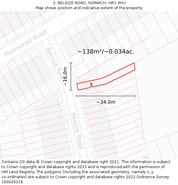 3, BELSIZE ROAD, NORWICH, NR1 4HU: Plot and title map
