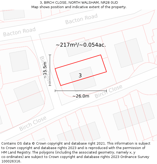 3, BIRCH CLOSE, NORTH WALSHAM, NR28 0UD: Plot and title map