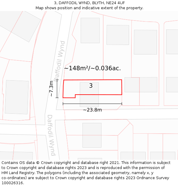 3, DAFFODIL WYND, BLYTH, NE24 4UF: Plot and title map