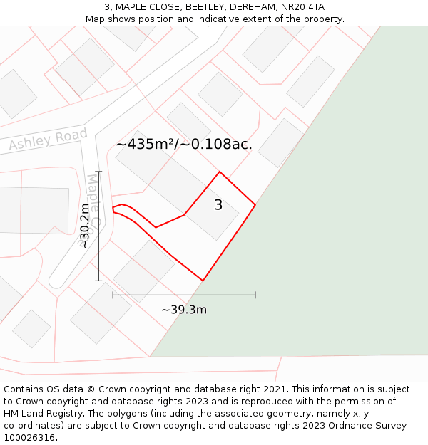 3, MAPLE CLOSE, BEETLEY, DEREHAM, NR20 4TA: Plot and title map
