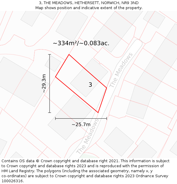 3, THE MEADOWS, HETHERSETT, NORWICH, NR9 3ND: Plot and title map