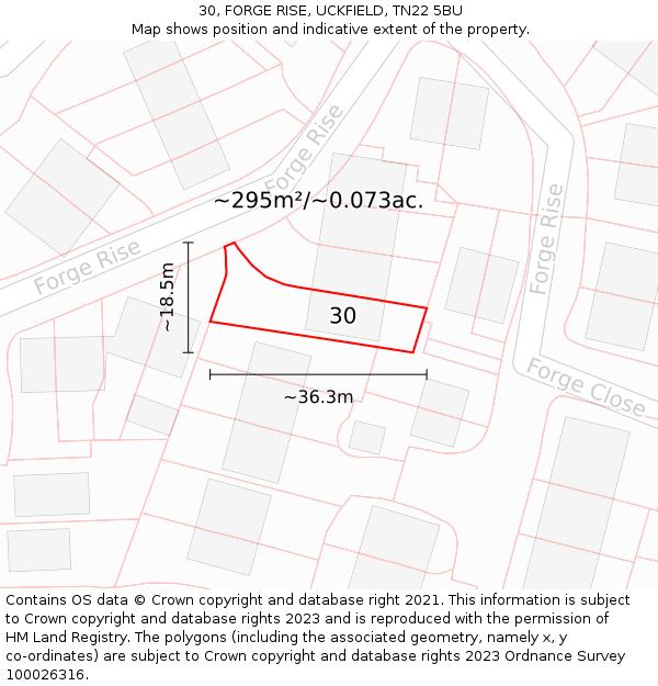 30, FORGE RISE, UCKFIELD, TN22 5BU: Plot and title map