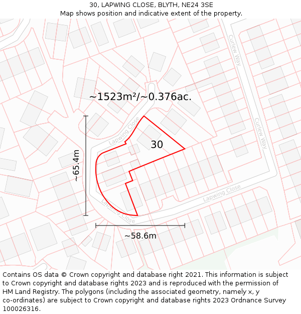 30, LAPWING CLOSE, BLYTH, NE24 3SE: Plot and title map