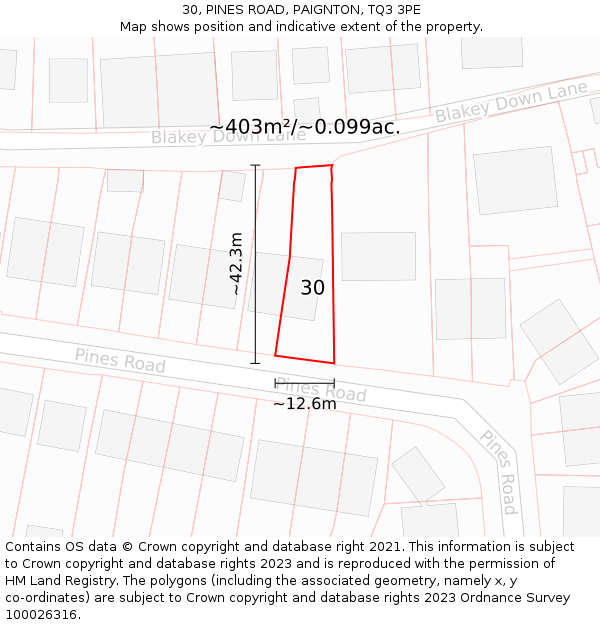 30, PINES ROAD, PAIGNTON, TQ3 3PE: Plot and title map