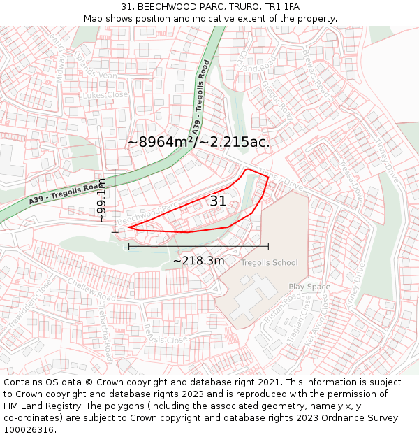 31, BEECHWOOD PARC, TRURO, TR1 1FA: Plot and title map