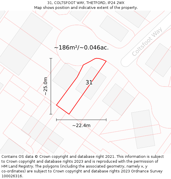 31, COLTSFOOT WAY, THETFORD, IP24 2WX: Plot and title map