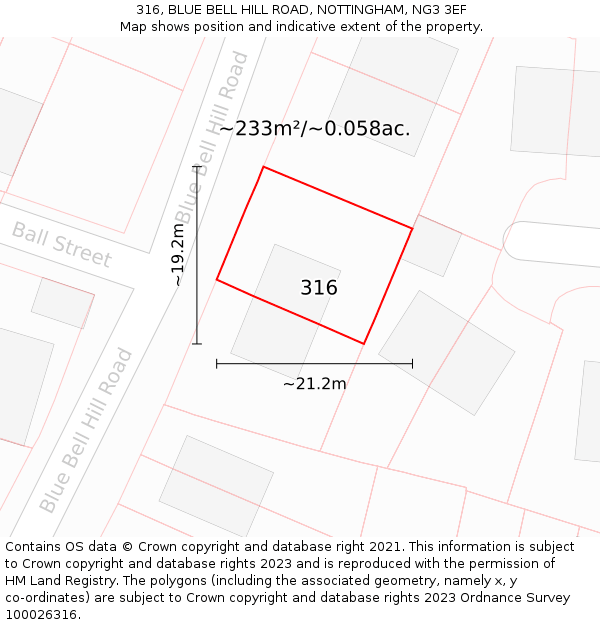 316, BLUE BELL HILL ROAD, NOTTINGHAM, NG3 3EF: Plot and title map