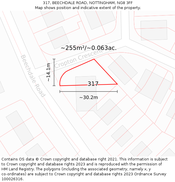 317, BEECHDALE ROAD, NOTTINGHAM, NG8 3FF: Plot and title map